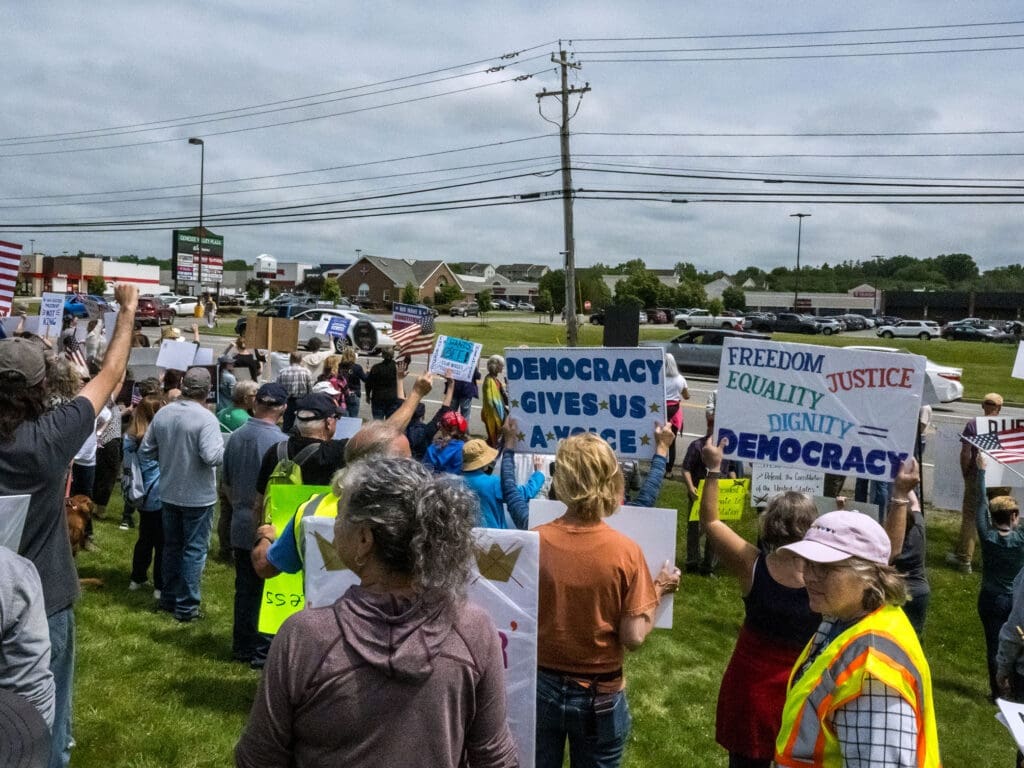 Group holding democracy protest signs on grass.