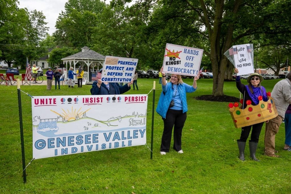 Protesters holding democracy signs at public park rally.