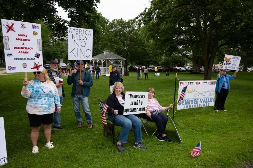 Protesters holding democracy signs in a park.