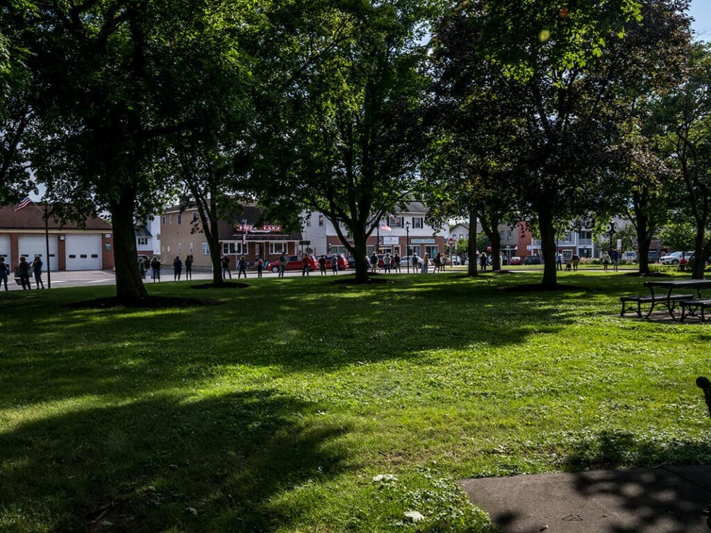 Sunny park with distant buildings and trees.