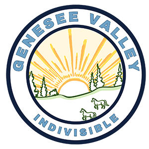 Genesee Valley Indivisible