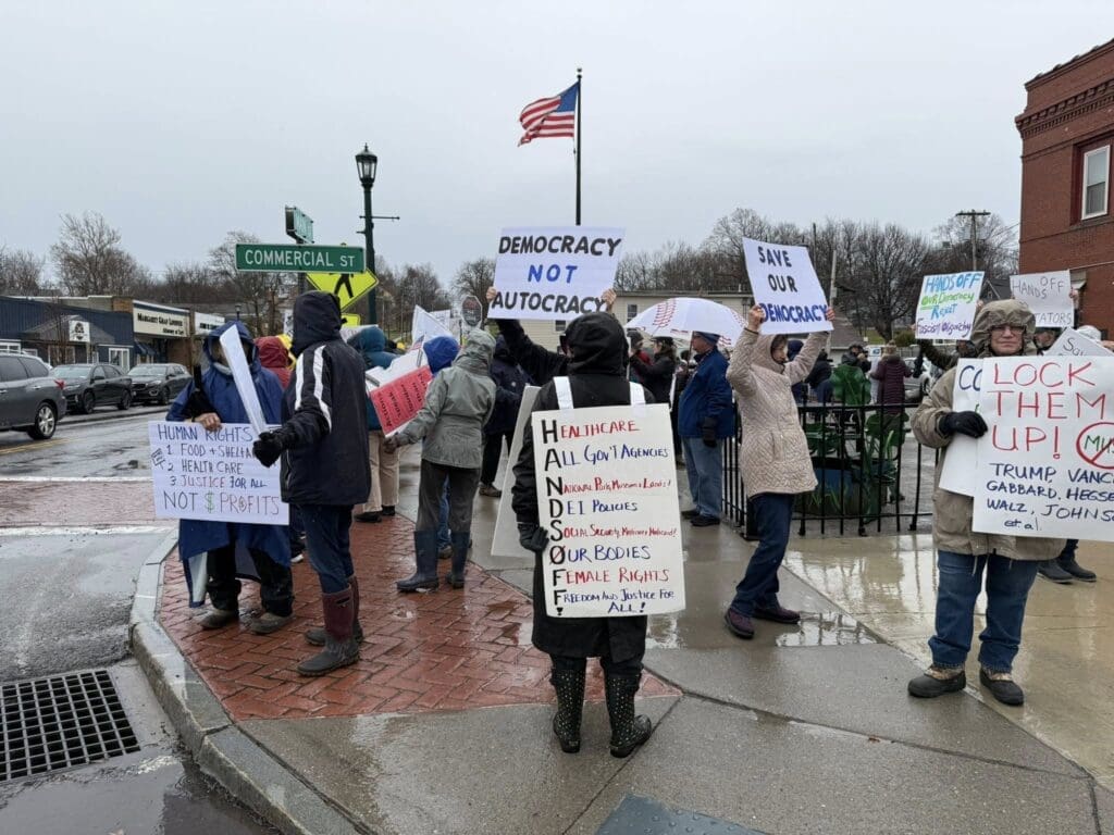 Protesters holding signs advocating democracy and human rights.