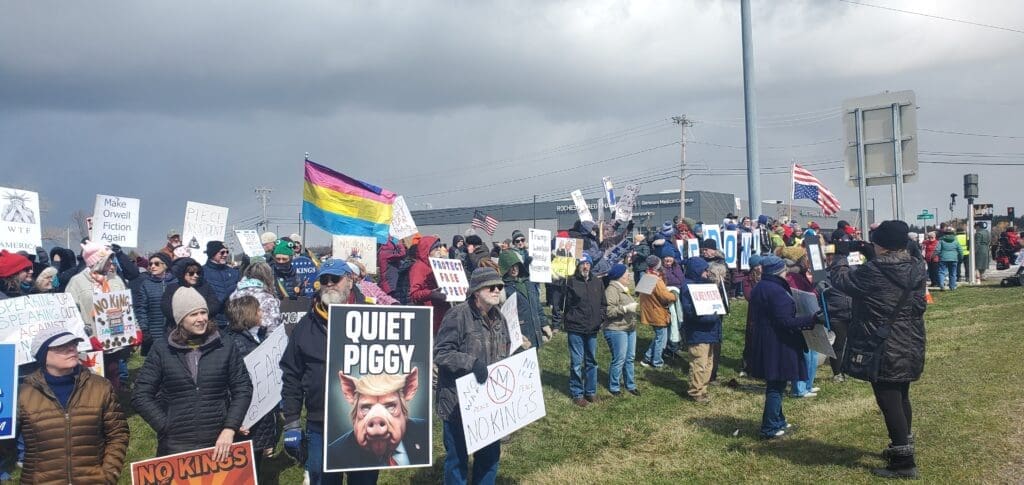Crowd holding protest signs and flags outdoors.
