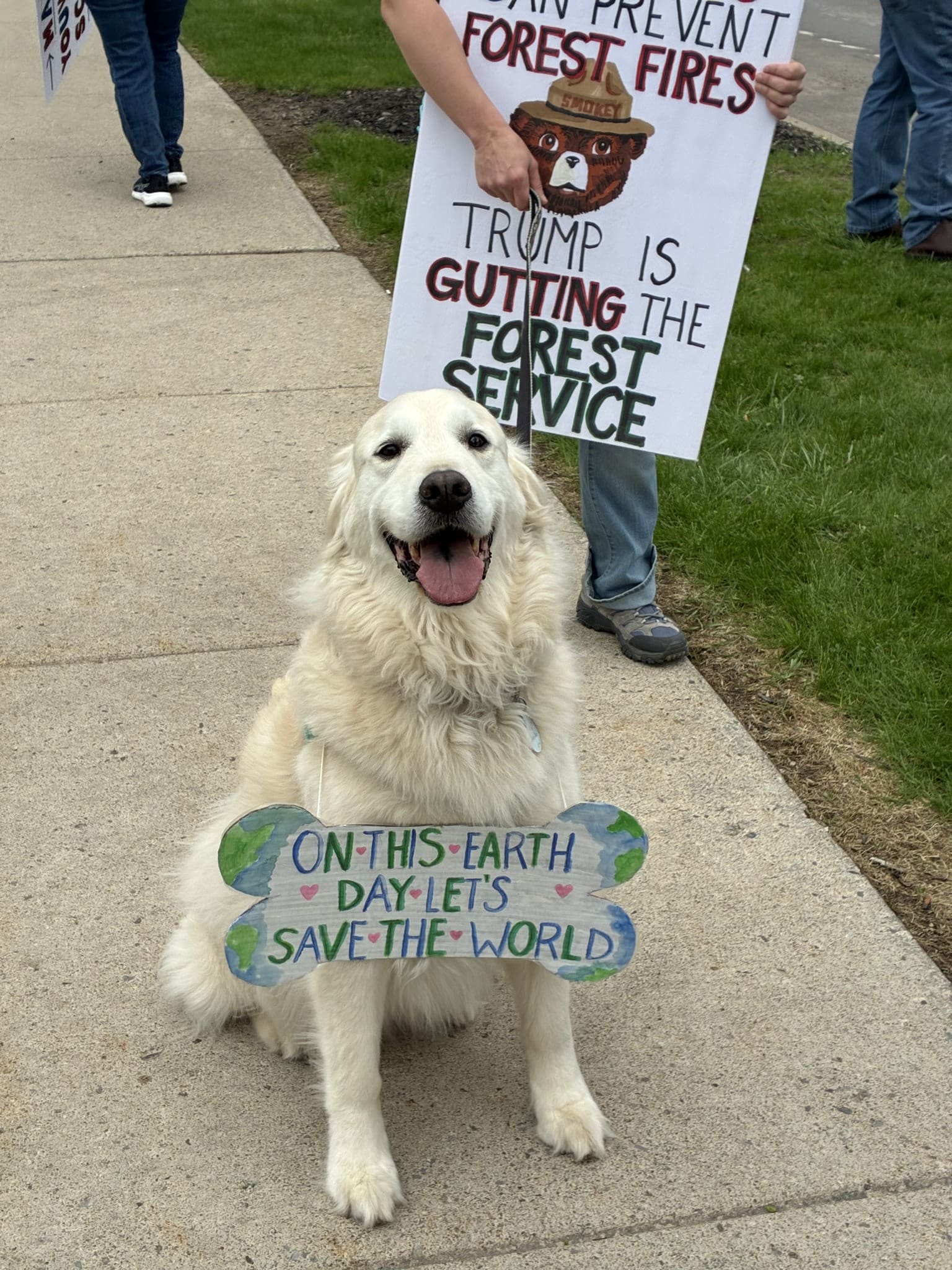 Dog Earth Day