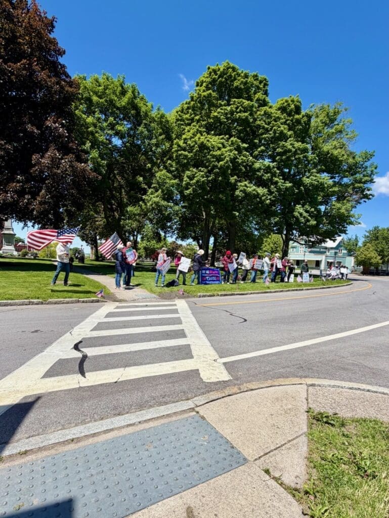 Small group holding American flags and protest signs